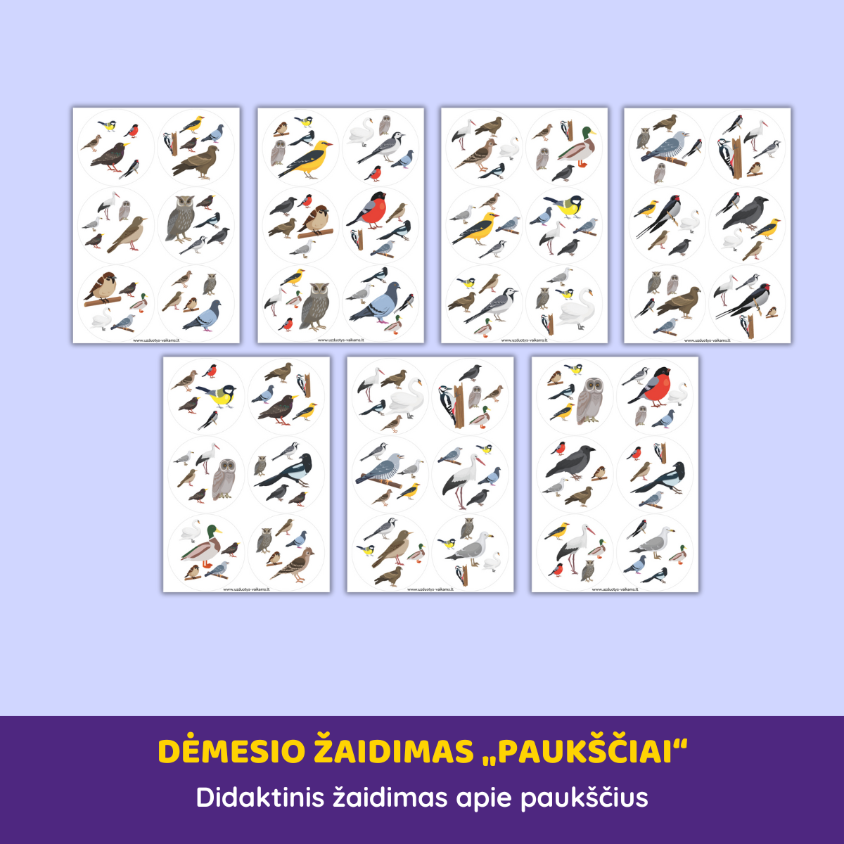 Dėmesio žaidimas „Paukščiai“ Dėmesio žaidimas „Paukščiai“ - Image 2