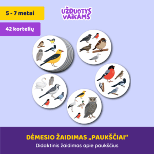 Dėmesio žaidimas „Paukščiai“