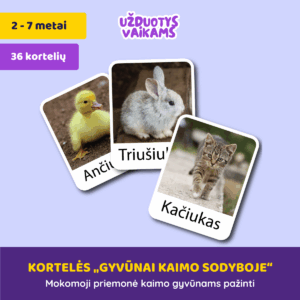 Kortelės „Gyvūnai kaimo sodyboje“