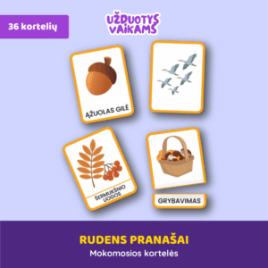 Rudens pranašai | 36 kortelės