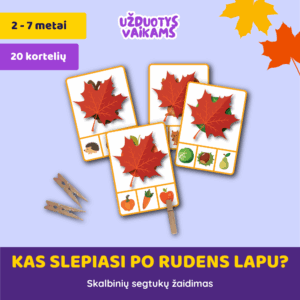 Skalbinių segtukų žaidimas „Kas slepiasi po rudens lapu?“